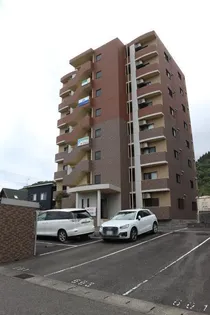 ドルフィンの画像