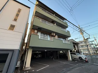 サンセベリアの画像