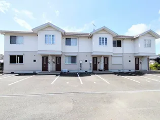 SHAMAISON MAAMIの画像