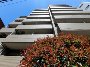 パレステュディオ小石川後楽園の画像