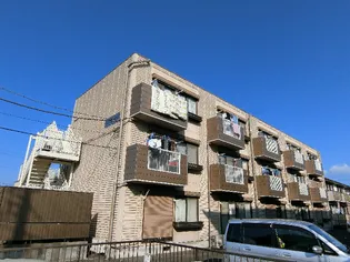 コータス花畑の画像