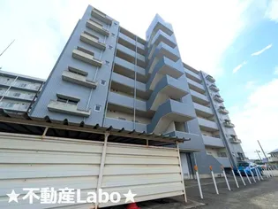 徳島県徳島市川内町金岡【マンション】の外観