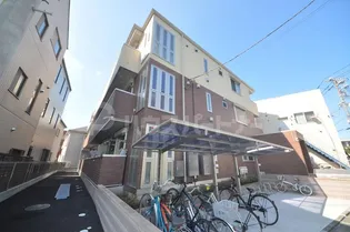 サンベリーナの画像