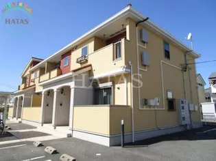 カモミールの画像