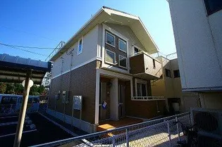 サニー グローブの画像