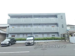 ハイツルピナスの画像
