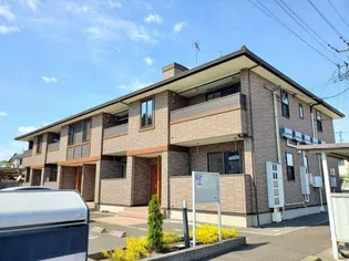 モーニング グローリーの画像