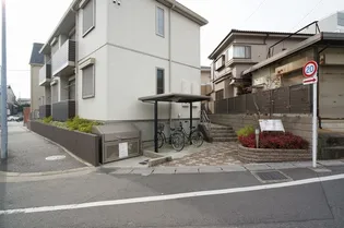 ティーラの画像