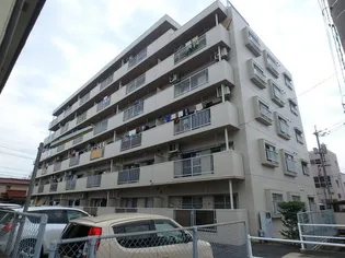 エメラルドマンション芳泉IIの画像