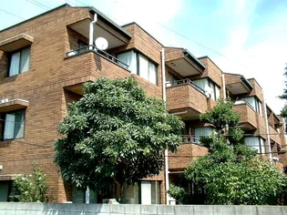 東京都練馬区土支田2【マンション】の外観