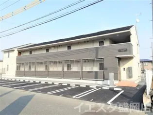 アドヴァンスサクラの画像