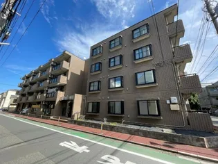 シャテロクボの画像