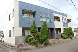 サウス ハニー ビーの画像