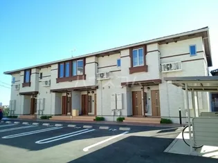 ステファニーⅡの画像