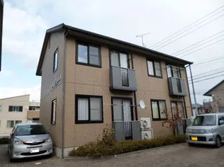 サン カシオペア Aの画像