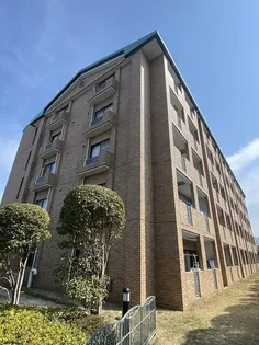 アムカスの画像