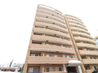 サンティパープの画像