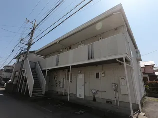 ラプラスコダマの画像