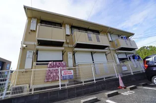 サニーライフの画像