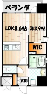 デザイナーズざ・片野【8階】の間取り