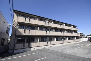 プランドールの画像