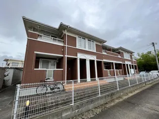 カメーリア Kの画像