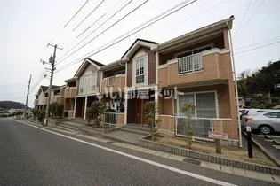 カメリア Aの画像