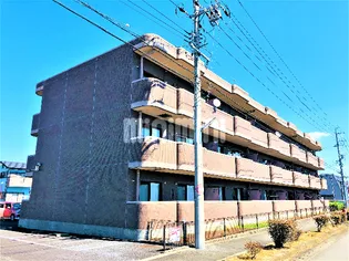 ラフィーネ栄の画像