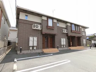 セリシールの画像