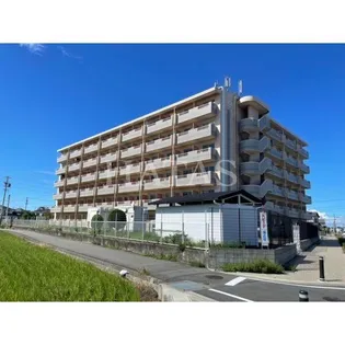 AVORIO上矢田の画像