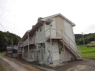 ベルソルの画像