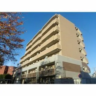 ドルフISHIIの画像