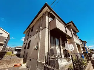 スターリット スカイAの画像
