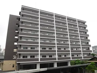 エヴァーグリーンQの画像