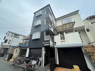 KAISEI HIRAKATAの画像