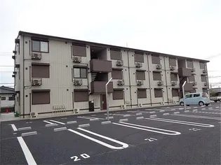 ニーナサクレの画像