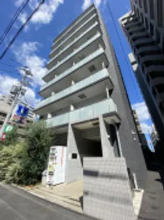 OLIVE UN ARBRE TOKIWAの画像