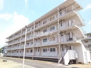 ビレッジハウス中条1号棟【4階】の外観