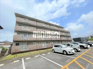 サンハイツ白山の画像