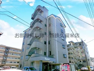 サクシードの画像