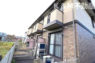 カトルセゾンBの画像