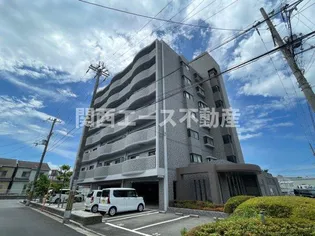 ラフィーネの画像