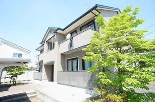 サラームAの画像