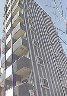 グレースプレミオの画像