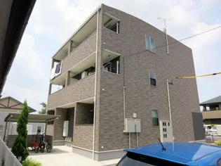 プラシードの画像