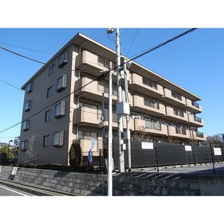 パームハイツIIIの画像