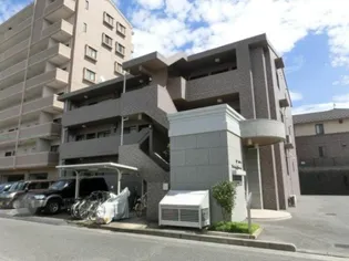 ウィステリアブロッサムの画像