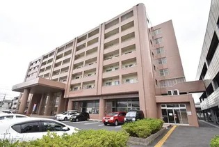 ベルヴィオウミの画像