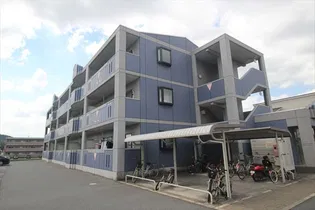 VIF CHARMANTの画像