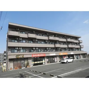 ハイクオリティⅤの画像